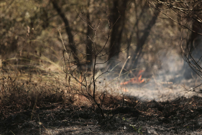 Bursa’da anız şeklinde başlayan yangın ormana sıçradı