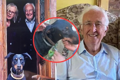 Tina döndü Berzeg için ormanlar karış karış aranıyor