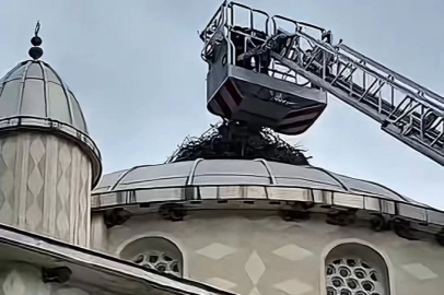 Bursa İtfaiyesi'nden İznik'te can dostuna hayat kurtaran müdahale