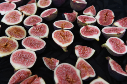 Bursa’nın dünyaca ünlü siyah incirleri Osmangazi’de yarıştı