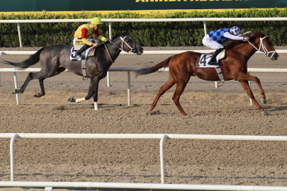 Bursa Büyükşehir Belediye Başkanlığı Koşusu'nda heyecanlı birincilik
