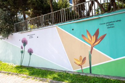 Bursa'nın hazineleri duvarlara işleniyor