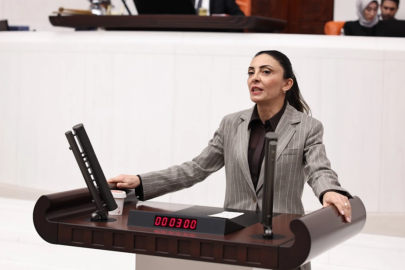 Nurhayat Altaca Kayışoğlu: “Özgür sanat olmadan demokrasi olmaz”