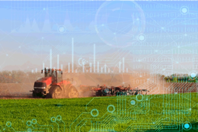 TÜİK 2025 bitkisel üretim verilerini açıkladı... Üretimde genel düşüş yaşandı