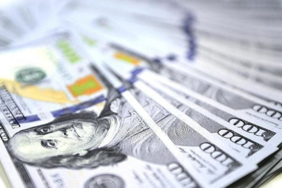 Dolar kuş oldu uçtu