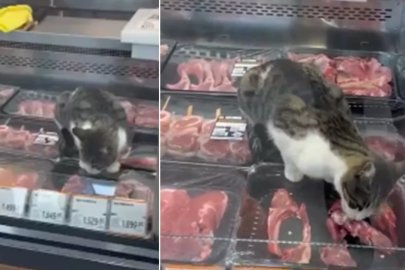 Bursa'da markette şaşkına çeviren olay! Kasap reyonuna kadar girdi