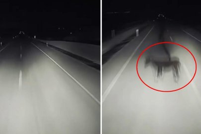 Görüntü Türkiye'den! Gecenin karanlığında dehşete düşüren olay