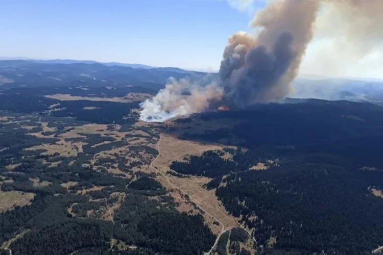 Bolu, Ankara, İzmir ve Adana'da orman yangını