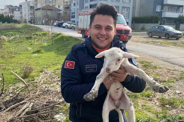 Bursa'da kuyuya düşen kuzu itfaiye ekipleri tarafından kurtarıldı