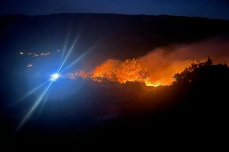 Bursa Yenişehir’deki orman yangınından çarpıcı görüntüler...