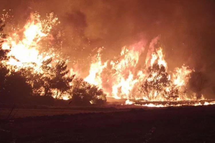 Çanakkale’deki orman yangınını söndürme çalışmaları aralıksız devam ediyor