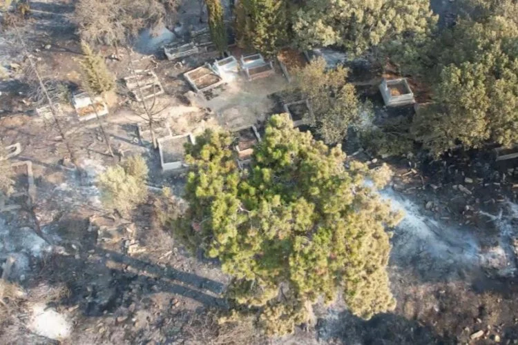 Çanakkale’deki yangın yürek sızlattı Mezarlar alev alev yandı