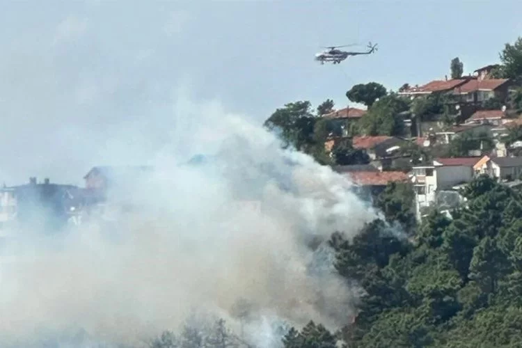 İstanbul Maltepe'de orman yangını