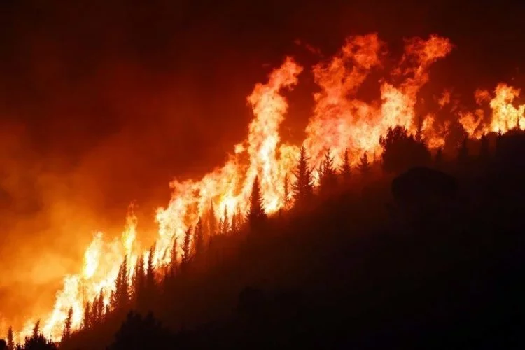 İtalya’da orman yangını: 2 kişi öldü
