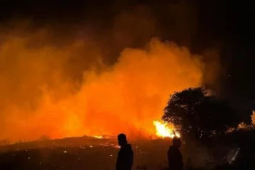 Marmara Adası'nda yangın